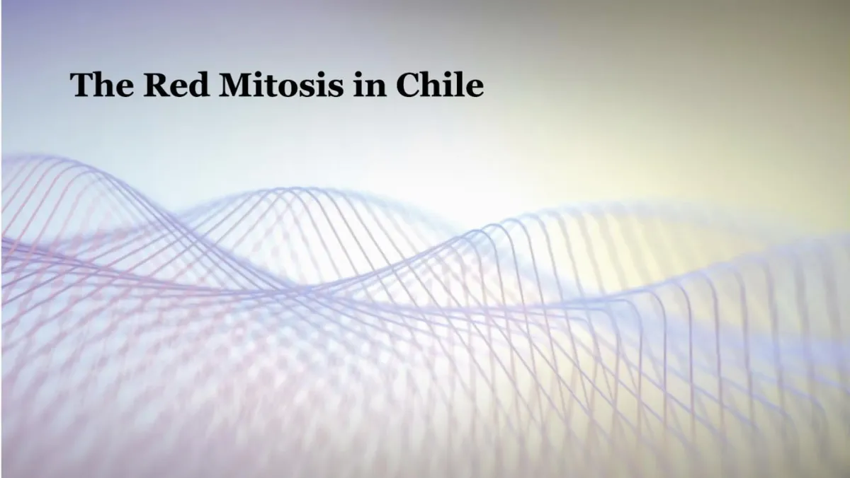 The red mitosis in Chile